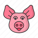 pig, animal, farm, face, cute