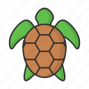 turtle, animal, zoo, sea, ocean