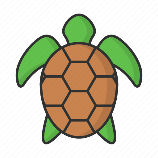 Turtle, animal, zoo, sea, ocean icon - Download on Iconfinder