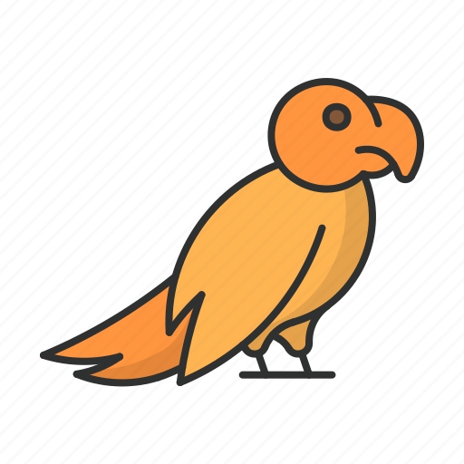 Parrot, bird, animal, pet, wild icon - Download on Iconfinder
