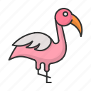 flamingo, bird, animal, zoo, wild