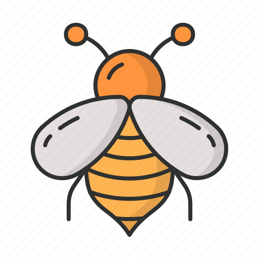 Bee, honey, animal, insect, wild icon - Download on Iconfinder