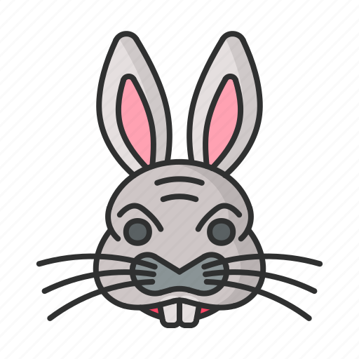 Rabbit, pet, animal, zoo, wild icon - Download on Iconfinder