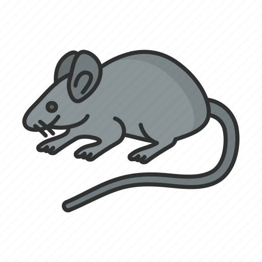 Mouse, animal, zoo, garden, forest icon - Download on Iconfinder