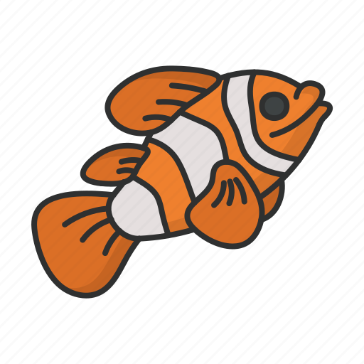 Clown fish, fish, animal, ocean, sea icon - Download on Iconfinder