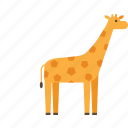 giraffe, animal, forest, wild