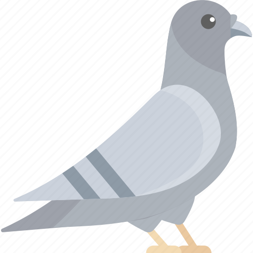 Pigeon, bird, fly, pet icon - Download on Iconfinder