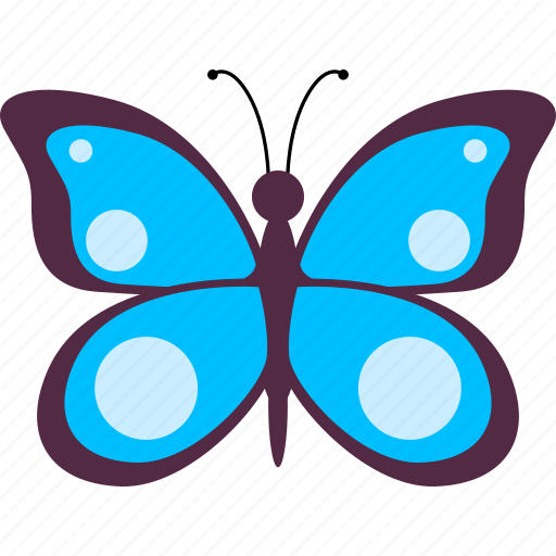 Butterfly, beautiful, insect, nature icon - Download on Iconfinder