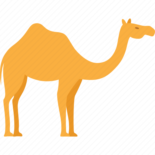 Camel, animal, desert, pet icon - Download on Iconfinder