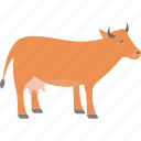 cow, animal, farm, milk, pet