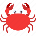 crab, animal, beach, sea