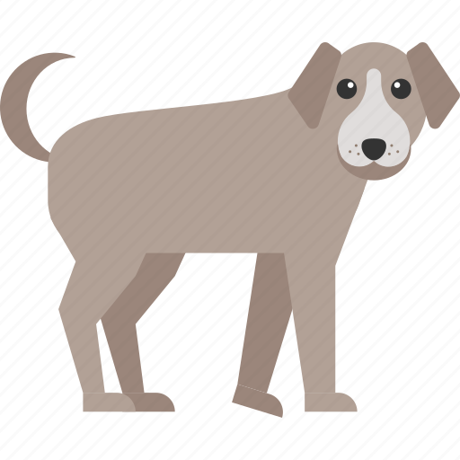 Dog, animal, house, pet icon - Download on Iconfinder