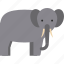 elephant, animal, forest, mammal 