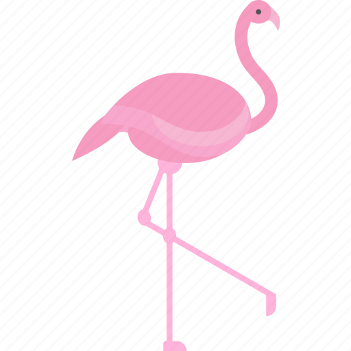 Flamingo, beautiful, bird, fly icon - Download on Iconfinder