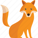 fox, animal, cute, wild