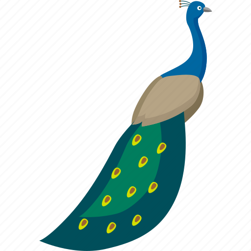 Peacock, beautiful, bird, forest, rain icon - Download on Iconfinder
