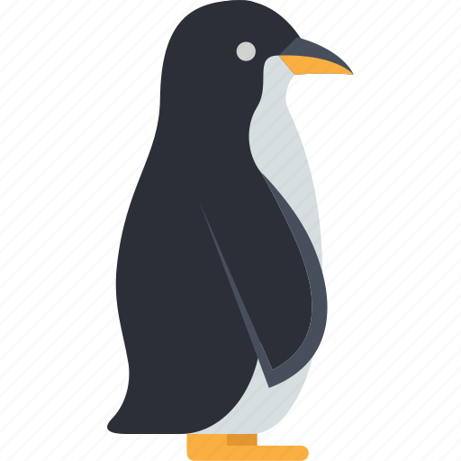 Penguin, bird, cute, nature, snow icon - Download on Iconfinder