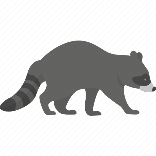 Raccoon, animal, forest, wild icon - Download on Iconfinder