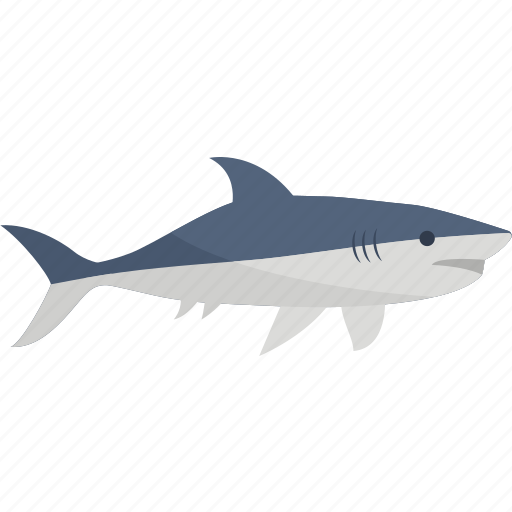 Shark, fish, sea, wild icon - Download on Iconfinder
