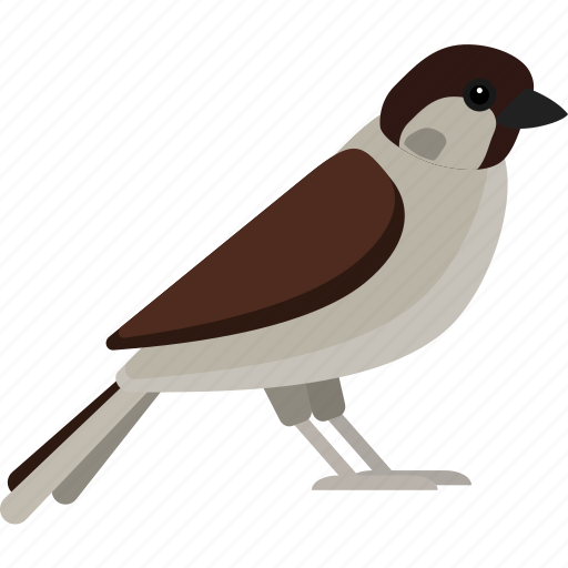 Sparrow, bird, cute, fly, nature icon - Download on Iconfinder