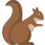 squirrel, animal, cute, nut, tree 