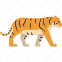 tiger, animal, forest, wild