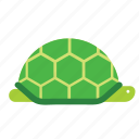 turtle, animal, flat icon, sea