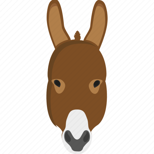 Donkey, animal, wild icon - Download on Iconfinder