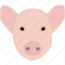 pig, farming, meat, agriculture 