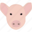 pig, farming, meat, agriculture 
