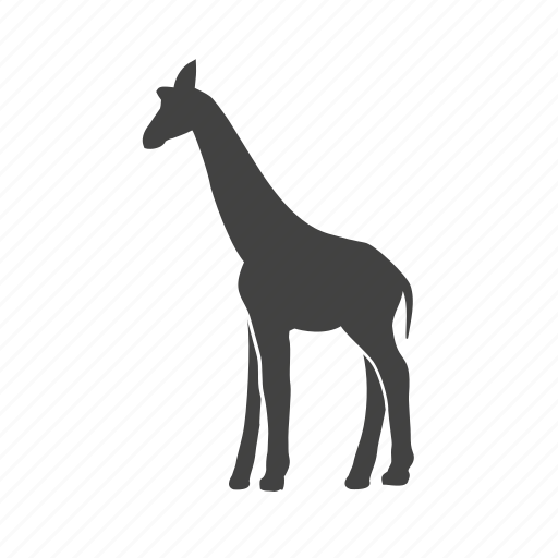 Africa, animal, giraffa, giraffe, mammal, wildlife, zoo icon - Download on Iconfinder