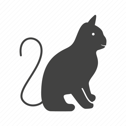 Cat, cats, kitten, kitty, pussy cat, wild cat icon - Download on Iconfinder