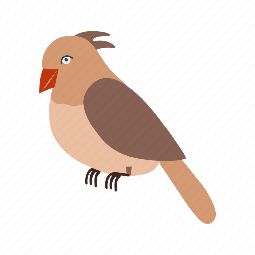 Animal, birds, flight, flock, flying, nature, sparrow icon - Download on Iconfinder