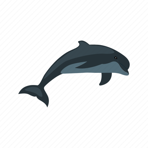 Dolphin, animal, beautiful, blue, jump, nature, ocean icon - Download on Iconfinder