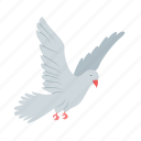 bird, dove, flying, nature, peace, pigeon, sky