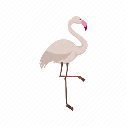 Bird, flamingo, animal, beautiful, flamingos, pink, summer icon - Download on Iconfinder