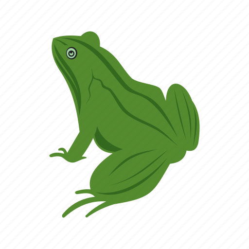 Frog, amphibian, animal, frogs, green, tropical, water icon - Download on Iconfinder