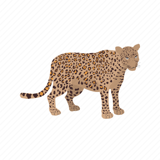 Animal, leopard, fast, jungle, lion, tiger, wild icon - Download on Iconfinder