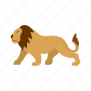 lion, big cat, fast, jungle, king, leopard
