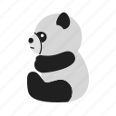 panda, animal, bamboo, bear, mammal, snow, wildlife