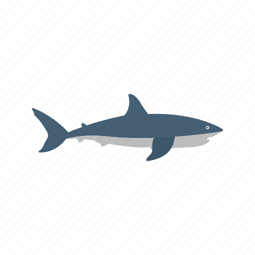 Shark, whale, blue, dive, fish, sharks, wildlife icon - Download on Iconfinder