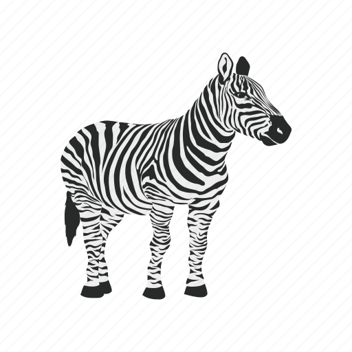 Zebra, africa, animals, running, wild, zebras icon - Download on Iconfinder
