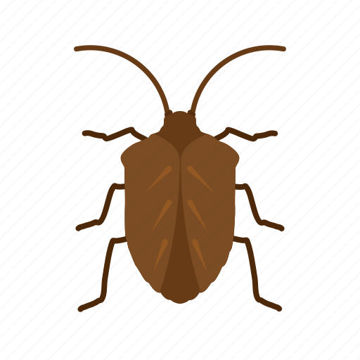 Bug, insect, beetle, crawler, mite, pest, termite icon - Download on Iconfinder