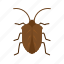 bug, insect, beetle, crawler, mite, pest, termite 