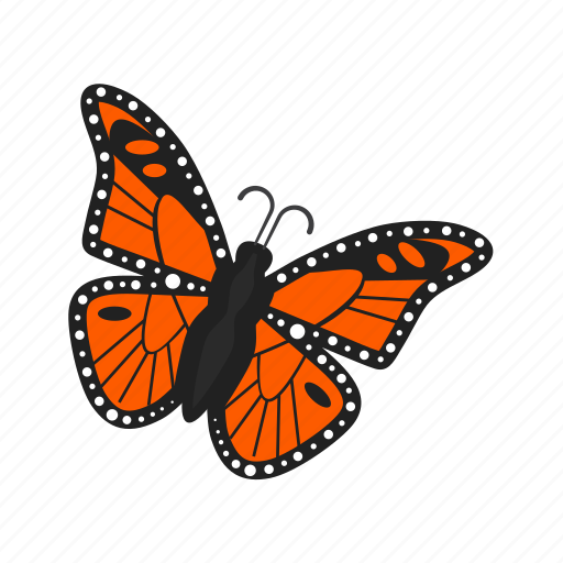Butterfly, insect, butterflies, colorful, flying, summer, wings icon - Download on Iconfinder