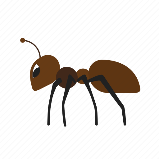 Ant, insect, beetle, bug, fly, pest, termite icon - Download on Iconfinder