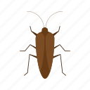 insect, beetle, crawler, ladybug, mite, pest, termite