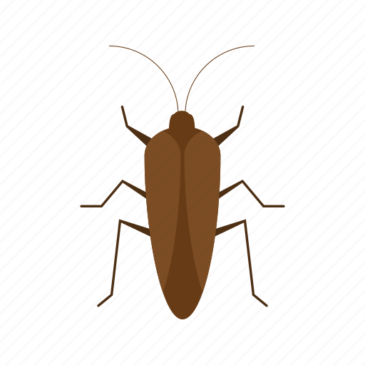 Insect, beetle, crawler, ladybug, mite, pest, termite icon - Download on Iconfinder