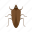 cockroach, insect, antenna, brown, bug, dirty, pest 