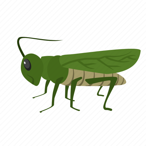 Grasshopper, insect, animal, bug, grasshoppers, green icon - Download on Iconfinder